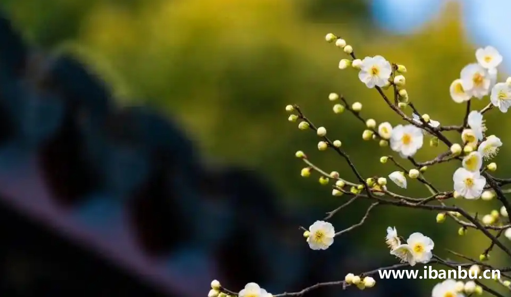 立春節氣-陽氣生發、春捂秋凍